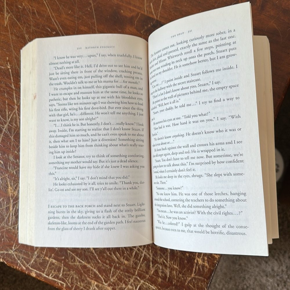 The Help Novel by Kathryn Stockett - Picture 4 of 4